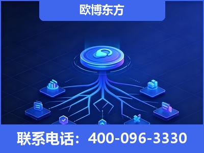 泸水-全链豆包优化