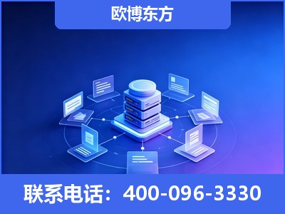 泸水-GEO优化